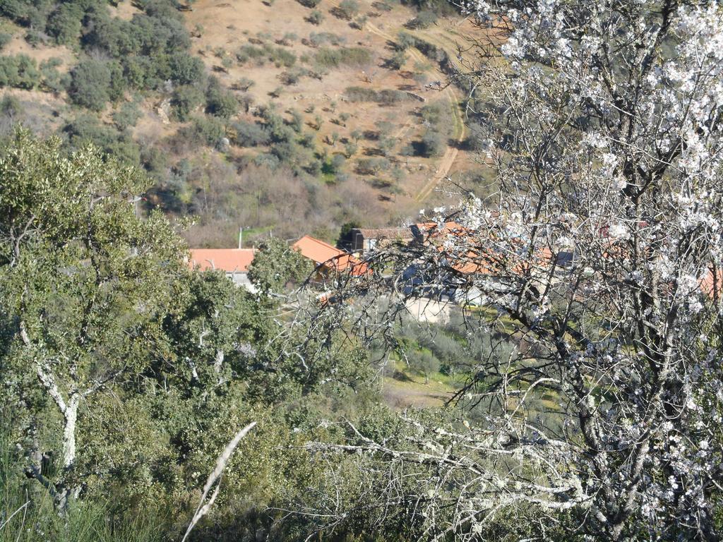 Casa Do Souto Villa Quinta do Souto Exteriör bild