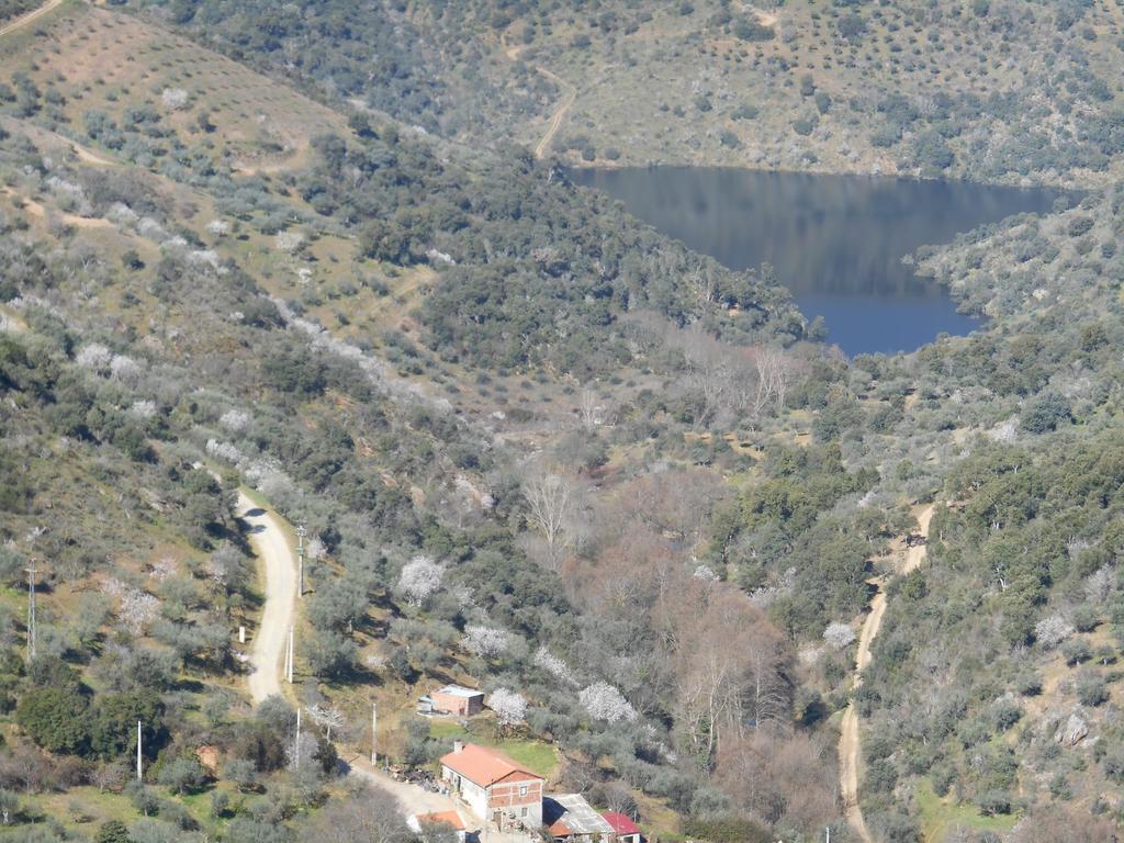 Casa Do Souto Villa Quinta do Souto Exteriör bild