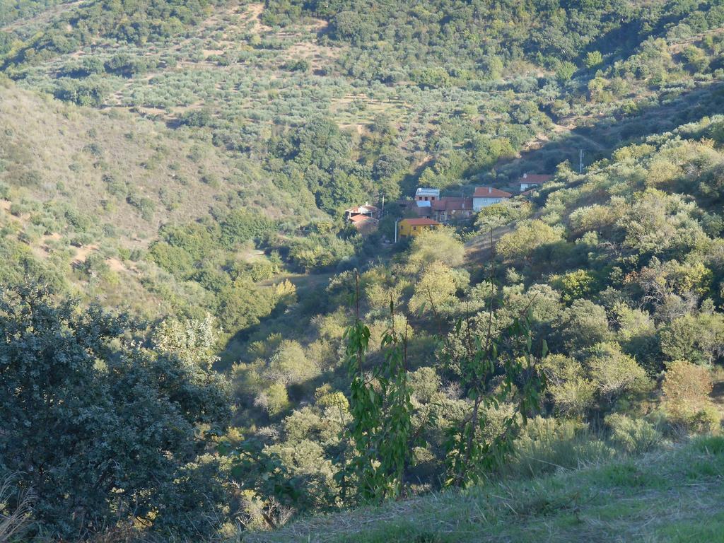 Casa Do Souto Villa Quinta do Souto Exteriör bild